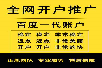 SEO与百度广告的结合：双管齐下的推广案例